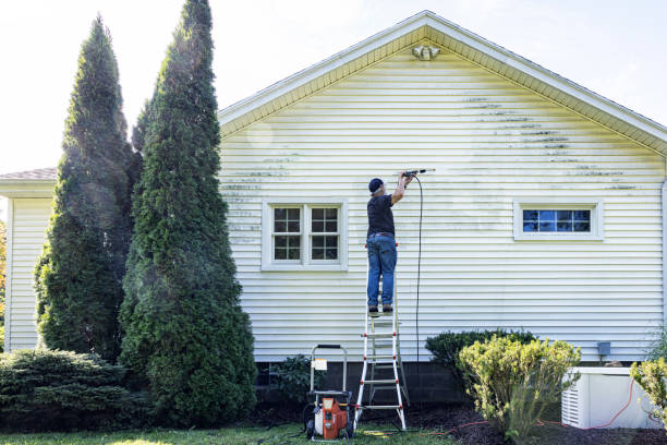 Best Deck Cleaning Services  in Lihue, HI