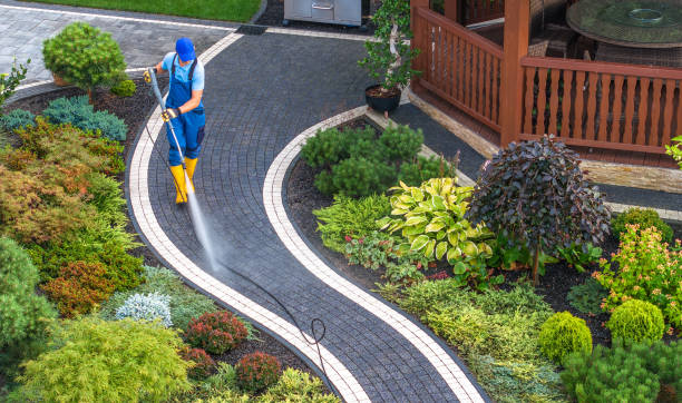  Lihue, HI Pressure Washing Pros